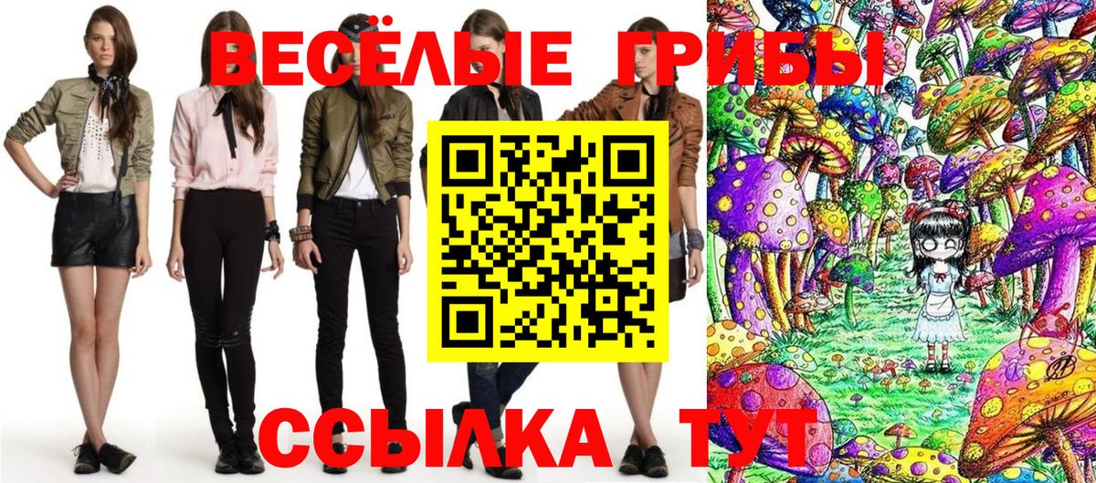 Галлюциногенные грибы мицелий  Псилоцибиновые грибы Magic Shrooms  как найти закладки  Саранск  Вход с VPN 